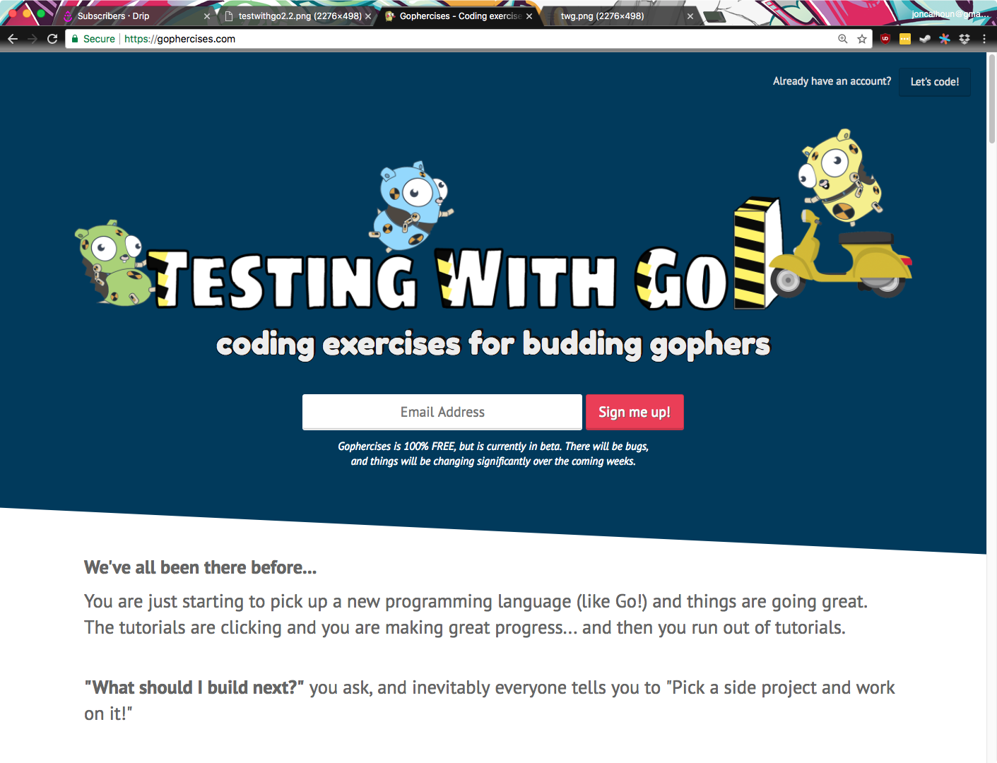 A gopher crashing into the Test with Go logo